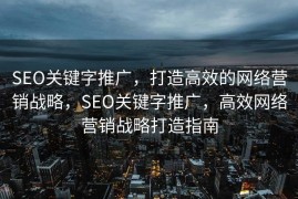 SEO关键字推广，打造高效的网络营销战略，SEO关键字推广，高效网络营销战略打造指南