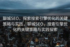 聊城SEO，探索搜索引擎优化的关键策略与实践，聊城SEO，搜索引擎优化的关键策略与实践探索
