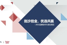 秒针：2022品牌及KOL双生洞见-2025最新seo资料