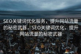 SEO关键词优化服务，提升网站流量的秘密武器，SEO关键词优化，提升网站流量的秘密武器