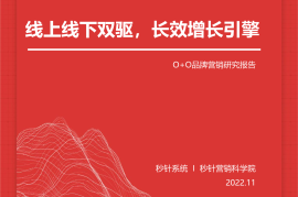 秒针系统：2022年O+O品牌营销研究报告-2025最新seo资料