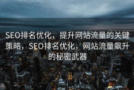 SEO排名优化，提升网站流量的关键策略，SEO排名优化，网站流量飙升的秘密武器