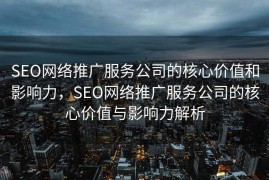 SEO网络推广服务公司的核心价值和影响力，SEO网络推广服务公司的核心价值与影响力解析