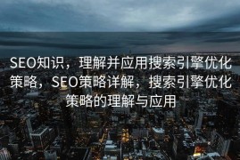 SEO知识，理解并应用搜索引擎优化策略，SEO策略详解，搜索引擎优化策略的理解与应用