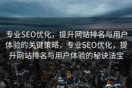 专业SEO优化，提升网站排名与用户体验的关键策略，专业SEO优化，提升网站排名与用户体验的秘诀法宝