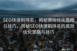 SEO快速刷排名，揭秘高效优化策略与技巧，揭秘SEO快速刷排名的高效优化策略与技巧