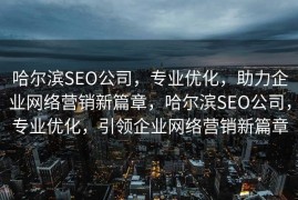 哈尔滨SEO公司，专业优化，助力企业网络营销新篇章，哈尔滨SEO公司，专业优化，引领企业网络营销新篇章