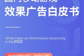 DataEye：2022年度国内移动游戏效果广告白皮书-2025最新seo资料