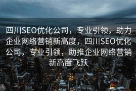 四川SEO优化公司，专业引领，助力企业网络营销新高度，四川SEO优化公司，专业引领，助推企业网络营销新高度飞跃