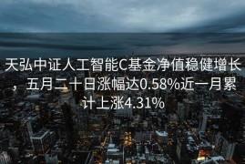 天弘中证人工智能C基金净值稳健增长，五月二十日涨幅达0.58%近一月累计上涨4.31%