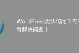 WordPress无法访问？专家指导解决问题！