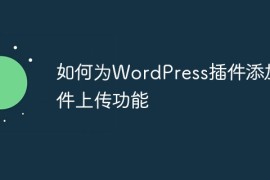 如何为WordPress插件添加文件上传功能