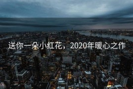 送你一朵小红花，2020年暖心之作