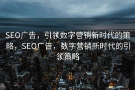 SEO广告，引领数字营销新时代的策略，SEO广告，数字营销新时代的引领策略