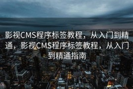 影视CMS程序标签教程，从入门到精通，影视CMS程序标签教程，从入门到精通指南