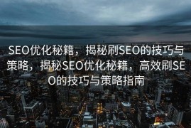 SEO优化秘籍，揭秘刷SEO的技巧与策略，揭秘SEO优化秘籍，高效刷SEO的技巧与策略指南