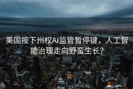 美国按下州权AI监管暂停键，人工智能治理走向野蛮生长？