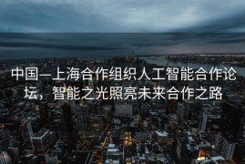 中国—上海合作组织人工智能合作论坛，智能之光照亮未来合作之路