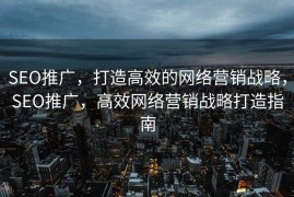 SEO推广，打造高效的网络营销战略，SEO推广，高效网络营销战略打造指南