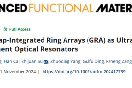 上海交通大学在Advanced Functional Materials发表集成纳米间隙的纳米环光学天线晶圆级制造新进展