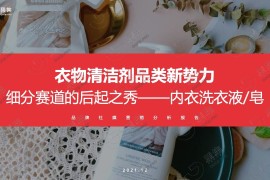 果集：2021年内衣洗衣液皂行业社媒营销分析报告-2025最新seo资料