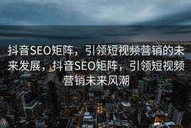 抖音SEO矩阵，引领短视频营销的未来发展，抖音SEO矩阵，引领短视频营销未来风潮