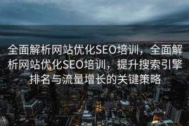 全面解析网站优化SEO培训，全面解析网站优化SEO培训，提升搜索引擎排名与流量增长的关键策略