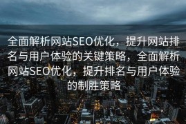 全面解析网站SEO优化，提升网站排名与用户体验的关键策略，全面解析网站SEO优化，提升排名与用户体验的制胜策略