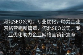 河北SEO公司，专业优化，助力企业网络营销新篇章，河北SEO公司，专业优化助力企业网络营销新篇章