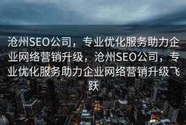 沧州SEO公司，专业优化服务助力企业网络营销升级，沧州SEO公司，专业优化服务助力企业网络营销升级飞跃