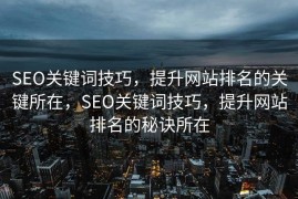 SEO关键词技巧，提升网站排名的关键所在，SEO关键词技巧，提升网站排名的秘诀所在
