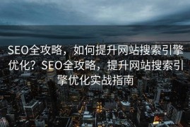 SEO全攻略，如何提升网站搜索引擎优化？SEO全攻略，提升网站搜索引擎优化实战指南