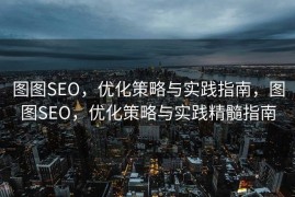 图图SEO，优化策略与实践指南，图图SEO，优化策略与实践精髓指南