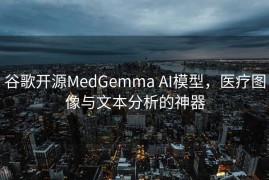 谷歌开源MedGemma AI模型，医疗图像与文本分析的神器