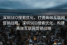 深圳SEO搜索优化，打造高效互联网营销战略，深圳SEO搜索优化，构建高效互联网营销战略