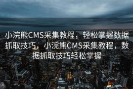 小浣熊CMS采集教程，轻松掌握数据抓取技巧，小浣熊CMS采集教程，数据抓取技巧轻松掌握