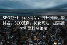 SEO范例，优化网站，提升搜索引擎排名，SEO范例，优化网站，提高搜索引擎排名策略