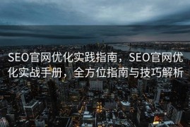SEO官网优化实践指南，SEO官网优化实战手册，全方位指南与技巧解析