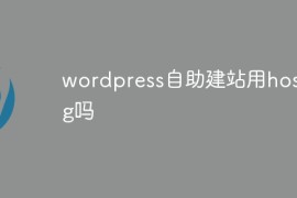 wordpress自助建站用hosting吗