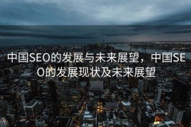 中国SEO的发展与未来展望，中国SEO的发展现状及未来展望