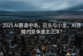 2025 AI赛道中场，巨头与小龙，AI领域的竞争谁主沉浮？