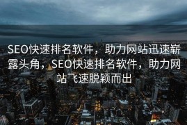 SEO快速排名软件，助力网站迅速崭露头角，SEO快速排名软件，助力网站飞速脱颖而出