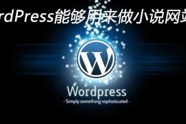 WordPress能够用来做小说网站吗