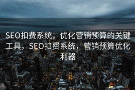 SEO扣费系统，优化营销预算的关键工具，SEO扣费系统，营销预算优化利器