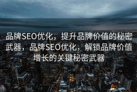 品牌SEO优化，提升品牌价值的秘密武器，品牌SEO优化，解锁品牌价值增长的关键秘密武器