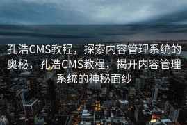 孔浩CMS教程，探索内容管理系统的奥秘，孔浩CMS教程，揭开内容管理系统的神秘面纱