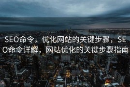 SEO命令，优化网站的关键步骤，SEO命令详解，网站优化的关键步骤指南