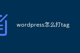 wordpress怎么打tag