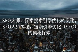 SEO大师，探索搜索引擎优化的奥秘，SEO大师揭秘，搜索引擎优化（SEO）的奥秘探索