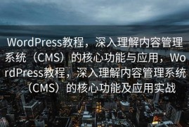 WordPress教程，深入理解内容管理系统（CMS）的核心功能与应用，WordPress教程，深入理解内容管理系统（CMS）的核心功能及应用实战